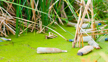 Polluted waterway with plastic bottles and algal scum